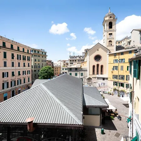 La Casa Del Gallo *